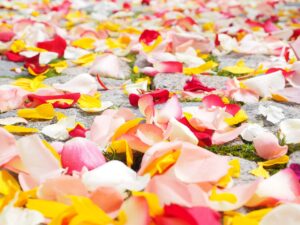 つむじの育毛に効果的なサプリはどれですか？