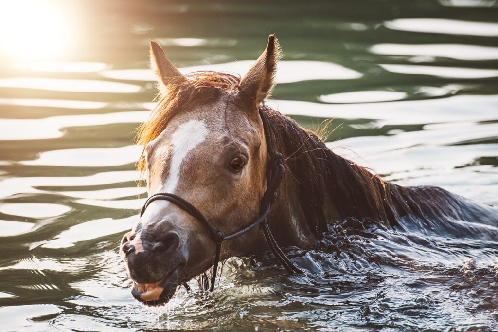 つむじが薄いのは何歳から気になるべきか？