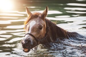 つむじが薄いのは何歳から気になるべきか？
