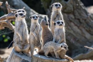 つむじが薄い人におすすめの髪型は？