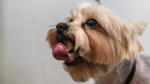 はげを気にする方におすすめの散髪方法は？