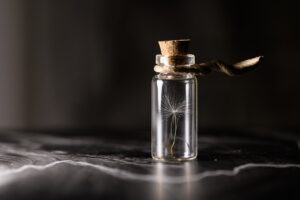 女性のつむじは遺伝に影響されるのか？