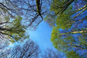 高校生が悩むつむじのはげを改善する方法は？