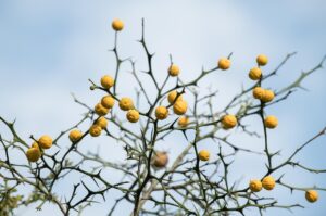 高校生が悩むつむじはげの原因と対策は？