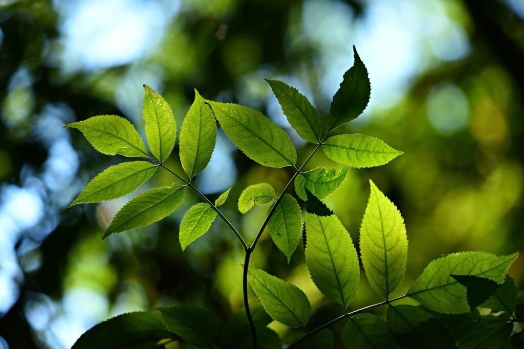 高校生のつむじが気になる時の対処法は？