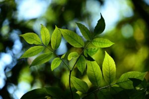 高校生のつむじが気になる時の対処法は？