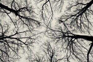 つむじハゲを隠すメンズにおすすめの増毛方法は？
