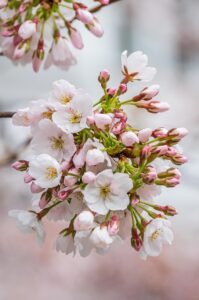 つむじのハゲは年齢とともに悪化するのか？