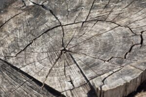 つむじ割れが直らない悩みを解消する方法は？