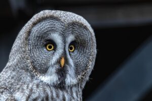 つむじの薄毛対策に効果的な夜ルーティンは？