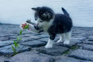 つむじの薄毛を忙しい朝にふんわり見せるセット方法は？