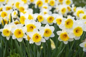つむじの薄毛を朝の短時間でごまかすコツは？