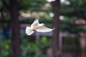 頭頂部のハゲを朝の短時間でカバーする裏ワザは？