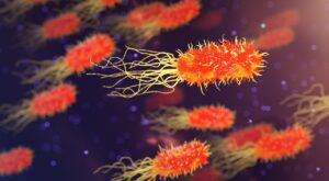 遺伝によるつむじハゲを朝の短時間でふんわり見せるセット方法は？