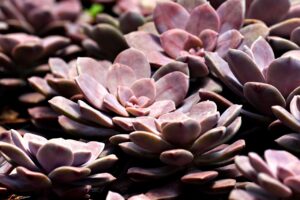 つむじハゲをカバーする方法はこれだ！あなたに合った対策は？